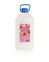 TECNI SAPUN ORVEO SPRING 5L